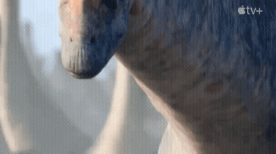 Dinosaur Face Close Up With Apple TV+ Logo GIF