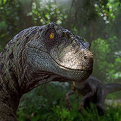 Dinosaur Head With Yellow Eye GIF