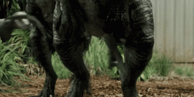 Dinosaur Legs And Feet Close Up GIF