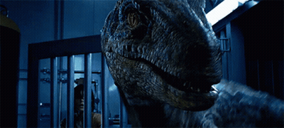 Dinosaur Mouth And Teeth In Dark Room GIF