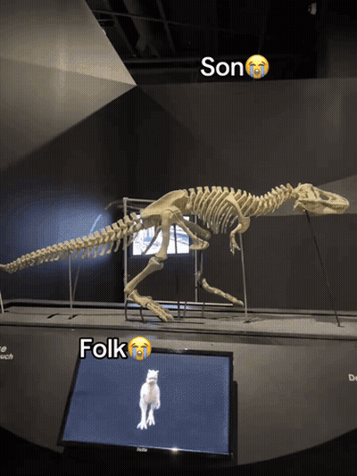 Dinosaur Skeleton Son And Folk GIF