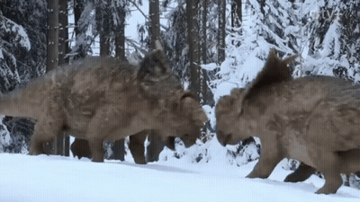 Dinosaurs Standing In Snow In Forest GIF