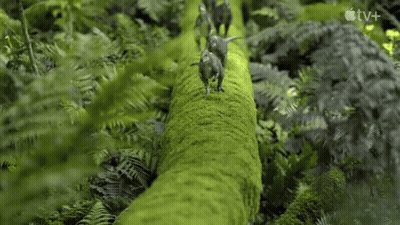 Dinosaurs Walking Across Mossy Log In Forest GIF