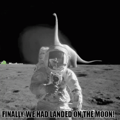 Dinoswap Matic GIF