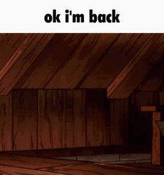 Dipper In Gravity Falls Says Ok I'm Back GIF