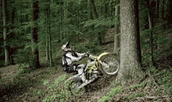 Dirt Bike Tree 360 Loop Exhibition GIF