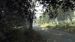 Dirt Rally Fast Timelapse Car Drifting Meme GIF