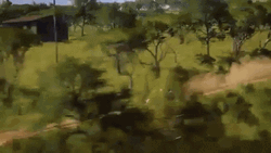 Dirt Rally Video Game Review PCGamesN GIF