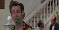 Dirty Something In My Teeth Jim Carrey GIF