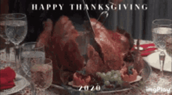 Disappointed Happy Thanksgiving Turkey GIF