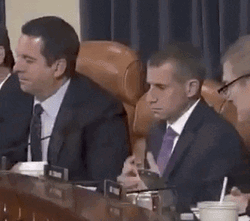 Disappointed Lawyer GIF