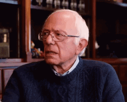 Disapprove Bernie Sanders GIF