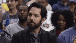 Disbelief Paul Rudd Reaction GIF