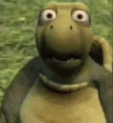 Disbelief Verne Over The Hedge GIF