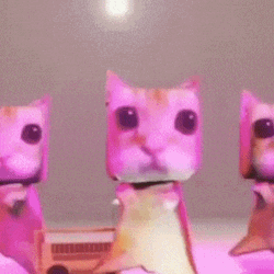 Disco Dancing Cat Meme GIF