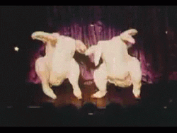 Disco Dancing Turkey Duo