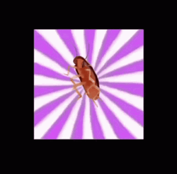 Disco Light Dancing Cockroach GIF