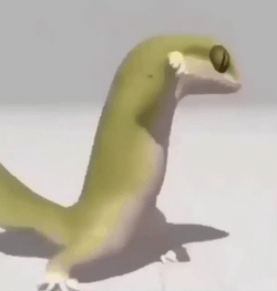 Disco Party Step Of Dancing Lizard GIF