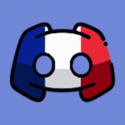 Discord Icon With French Flag GIF