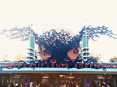 Disney California Adventure Sign With Tree And Pumpkins GIF