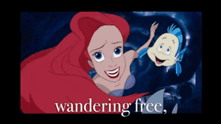Disney Disney Princess GIF