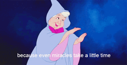 Disney Fairy Godmother Miracle GIF