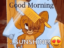 Disney Good Morning Sunshine Jerry GIF