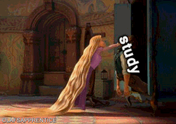 Disney Tangled Rapunzel Study Finals Meme GIF