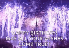 Disney World Castle Happy Birthday Fireworks