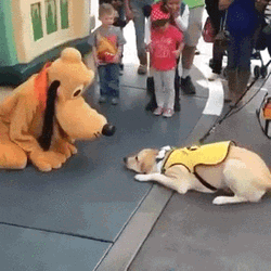 Disney World Pluto Interacting With Cute Puppy GIF