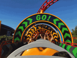 Disney World Roller Coaster Ride GIF