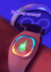 Disney World Watch Take My Money GIF
