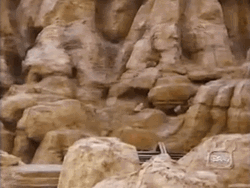 Disneyland GIF