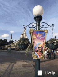 Disneyland GIF
