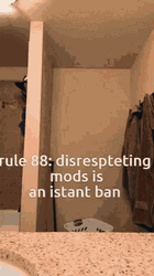 Disrespecting Mods Instant Ban