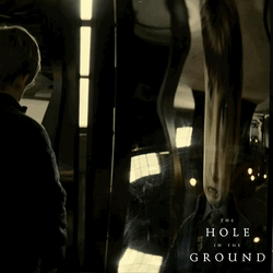 Dissorted Mirror Holes Movie GIF