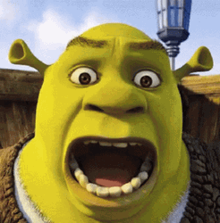 Distorted Face Shrek Is Love GIF