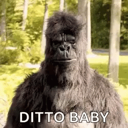 Ditto Baby Thumbs Up Funny Gorilla Meme GIF