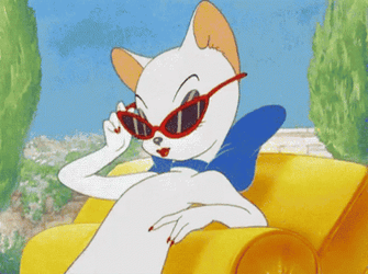 Diva Cat In Tom And Jerry GIF