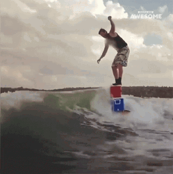 Dive Plunge Surfing Cooler GIF