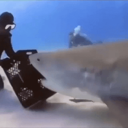 Diver Got Rotated By Shark GIF