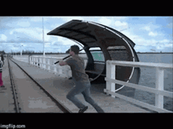 Diving Funny Fishing GIF