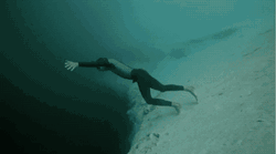Diving In The Ocean
