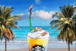 Diving Into Starbucks Whipped Cream GIF