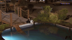 Diving On A Moving Water GIF
