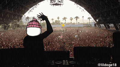 DJ At Music Festival With LilDoge18 GIF