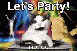 DJ Cat Dance Lets Party  GIF