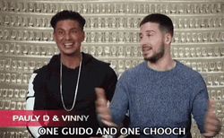 DJ Pauly D And Vinny Guadagnino GIF