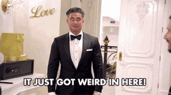 DJ Pauly D Just Got Weird In Here GIF