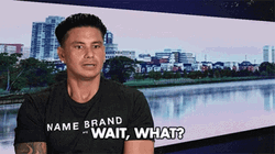 DJ Pauly D Says Wait What GIF